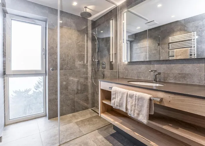 Aussicht Hotell Finkenberg